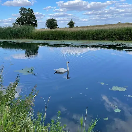 Alandblick